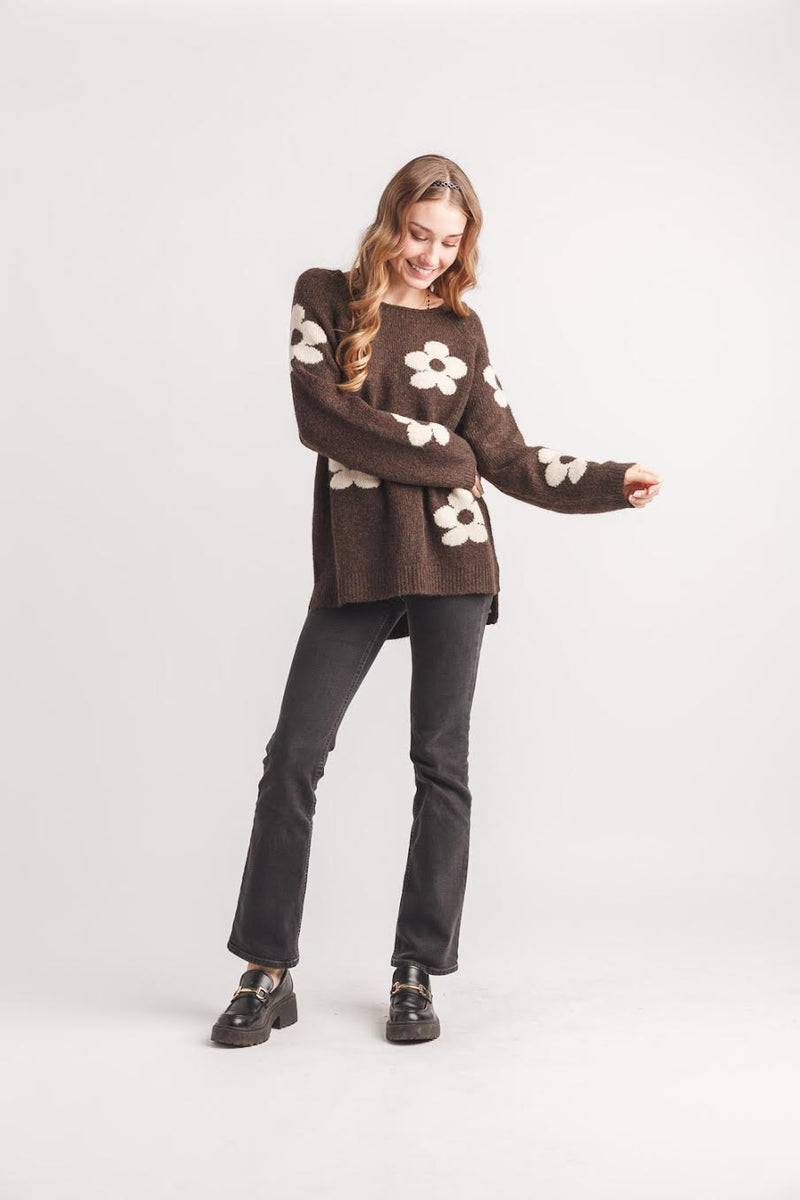 Papillon Daisy Pullover In Chocolate