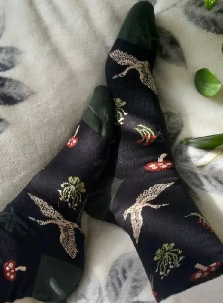 Pokoloko Pima Socks Pack Of 2 Forage