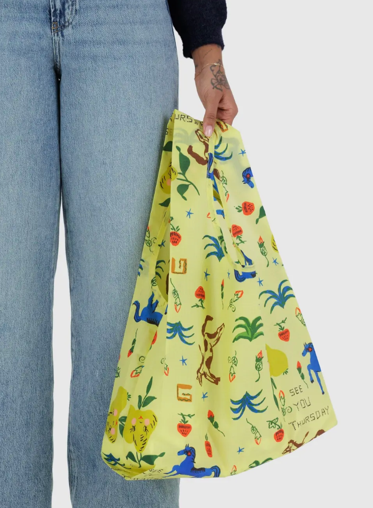 Baggu Reusable Bag Standard Painted Prairie
