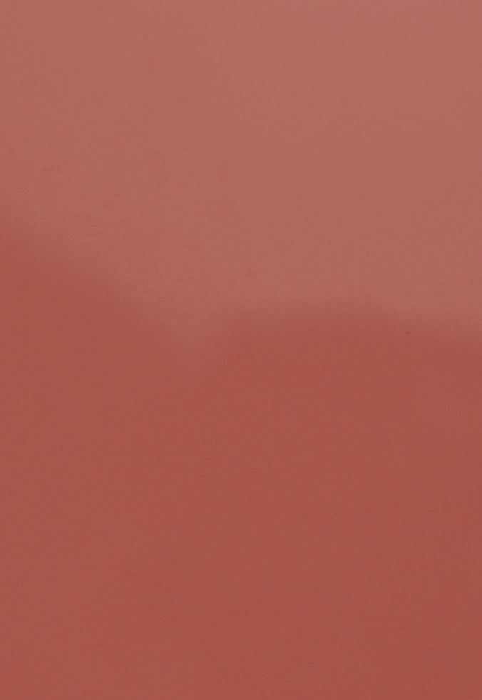 BKIND Vegan Nail Polish Arizona