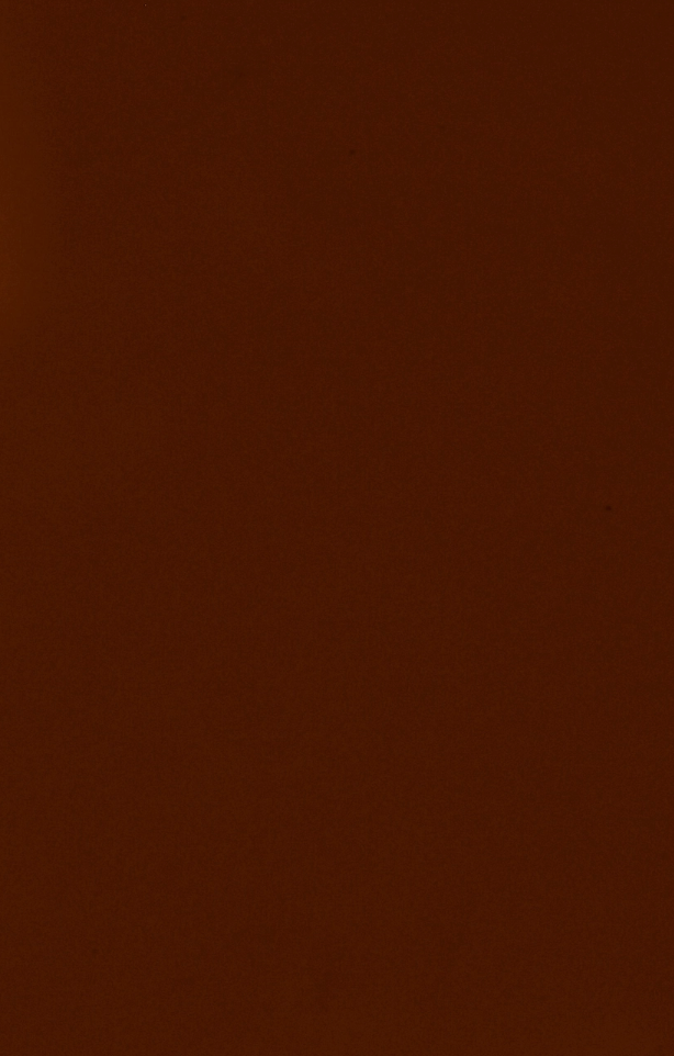 BKIND Vegan Nail Polish Chai