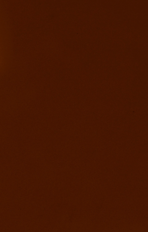 BKIND Vegan Nail Polish Chai