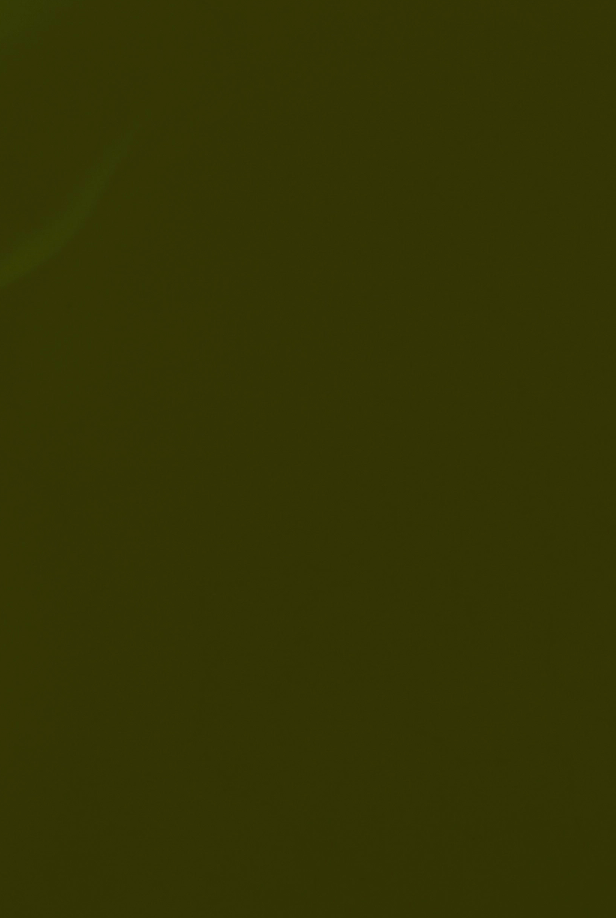 BKIND Vegan Nail Polish La Route Verte