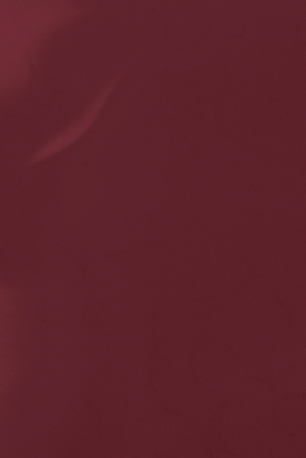 BKIND Vegan Nail Polish Petite Bourgogne