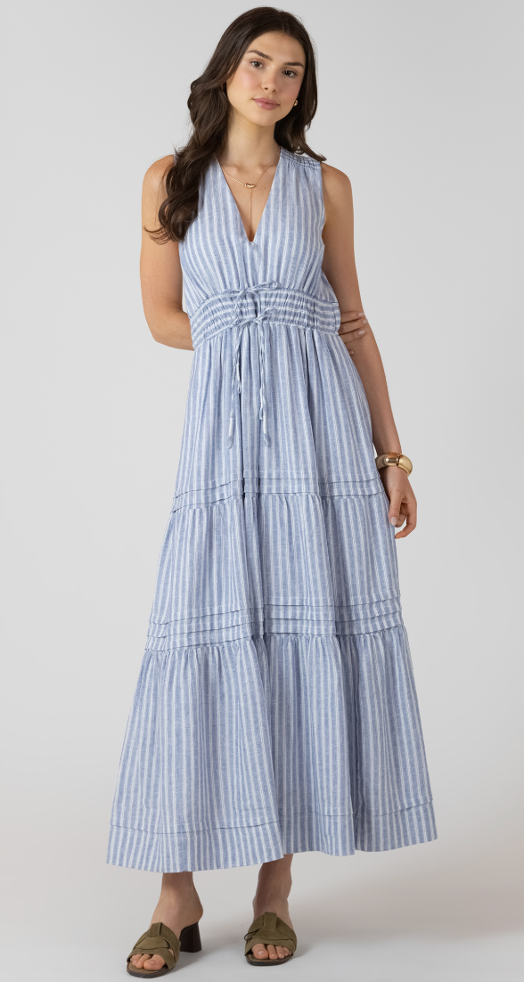 Dex Pleat Smocked Waist Dress Chambray Stripe