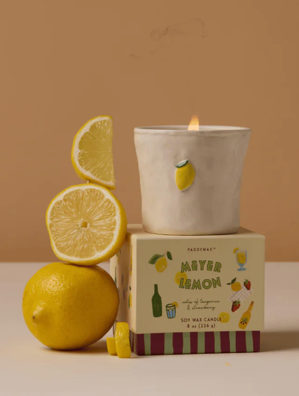 Paddywax Bistro Ceramic Icon Candle Meyer Lemon