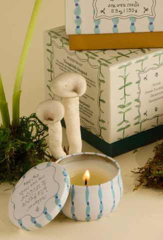 Paddwax Floral Tin Verbena & Lemongrass