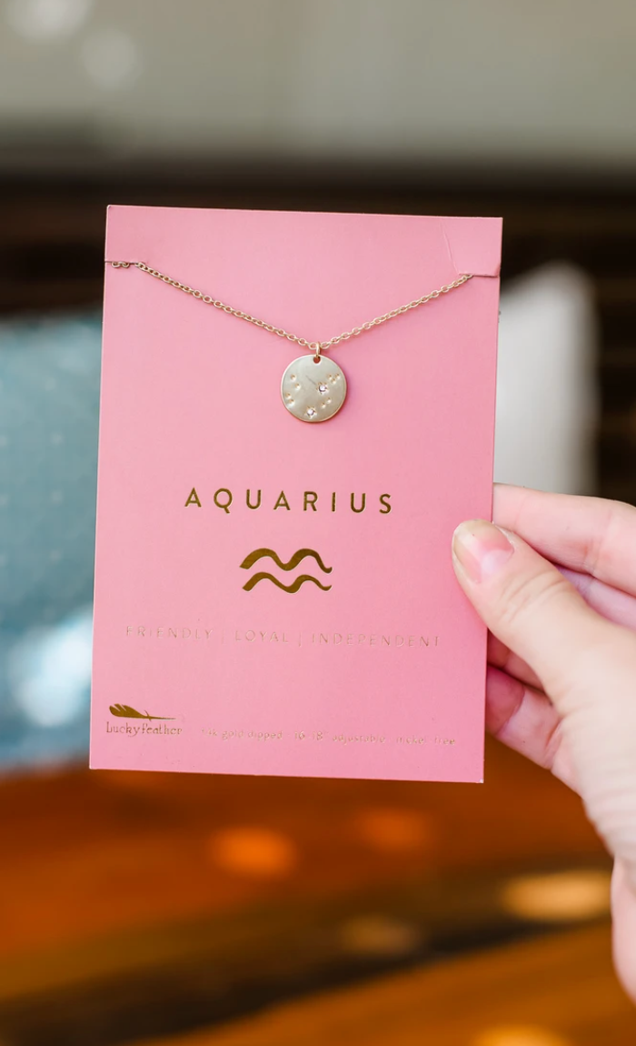 Lucky Feather Aquarius Necklace