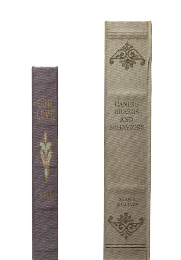 Creative Co Op Set Of 2 Book Storage