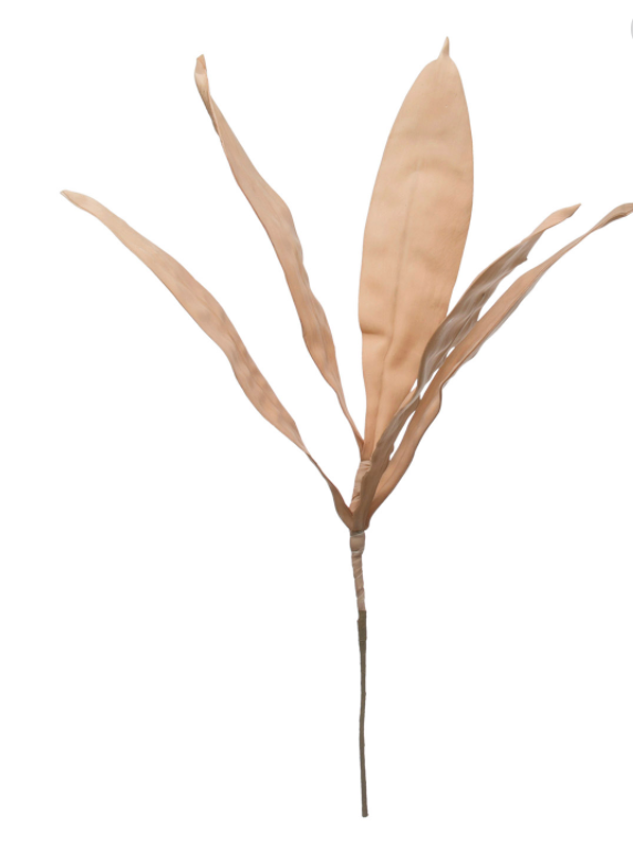 Creative Co Op Faux Foam Blush Stem