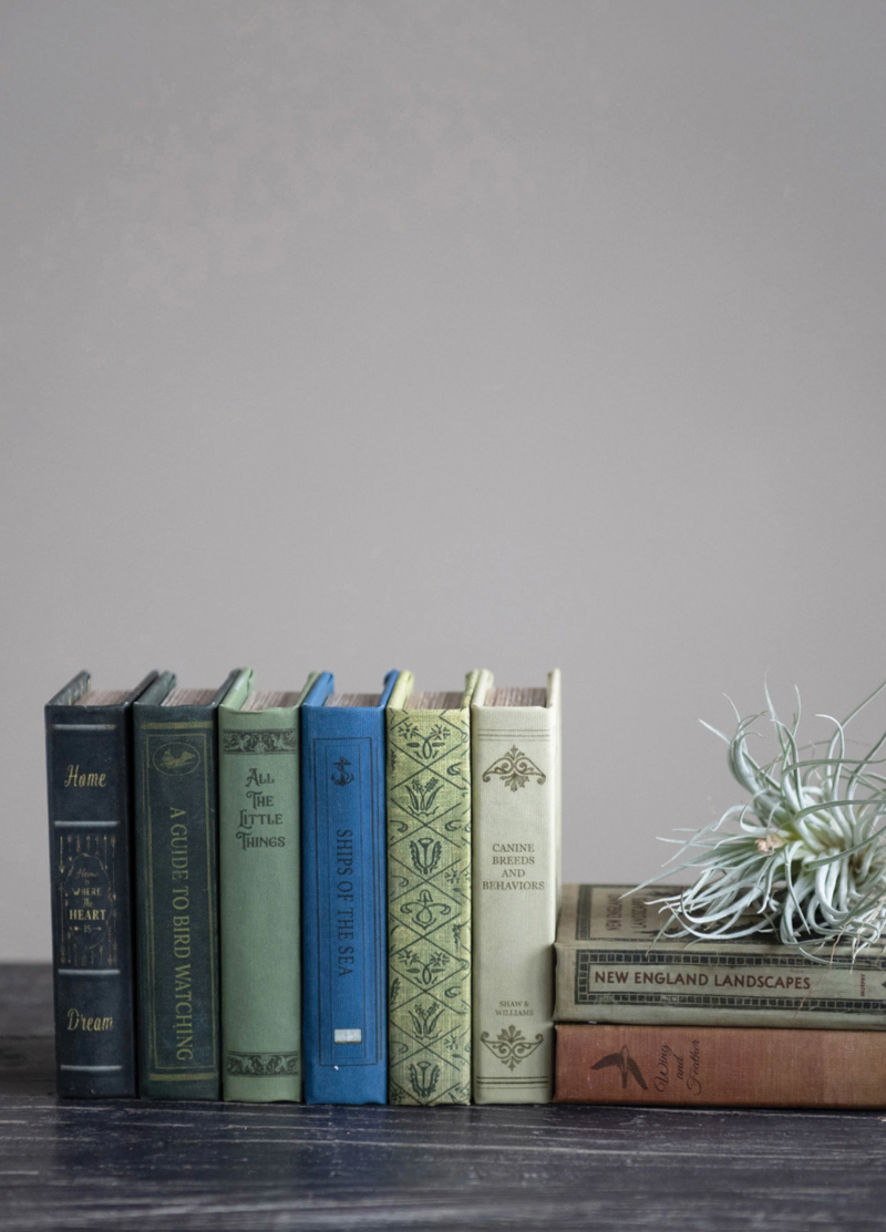 Creative Co Op Small Book Storage