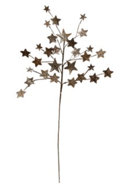 Creative Co Op Birch Star Pick