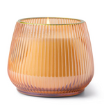 Paddywax Orange & Fir Glass Candle